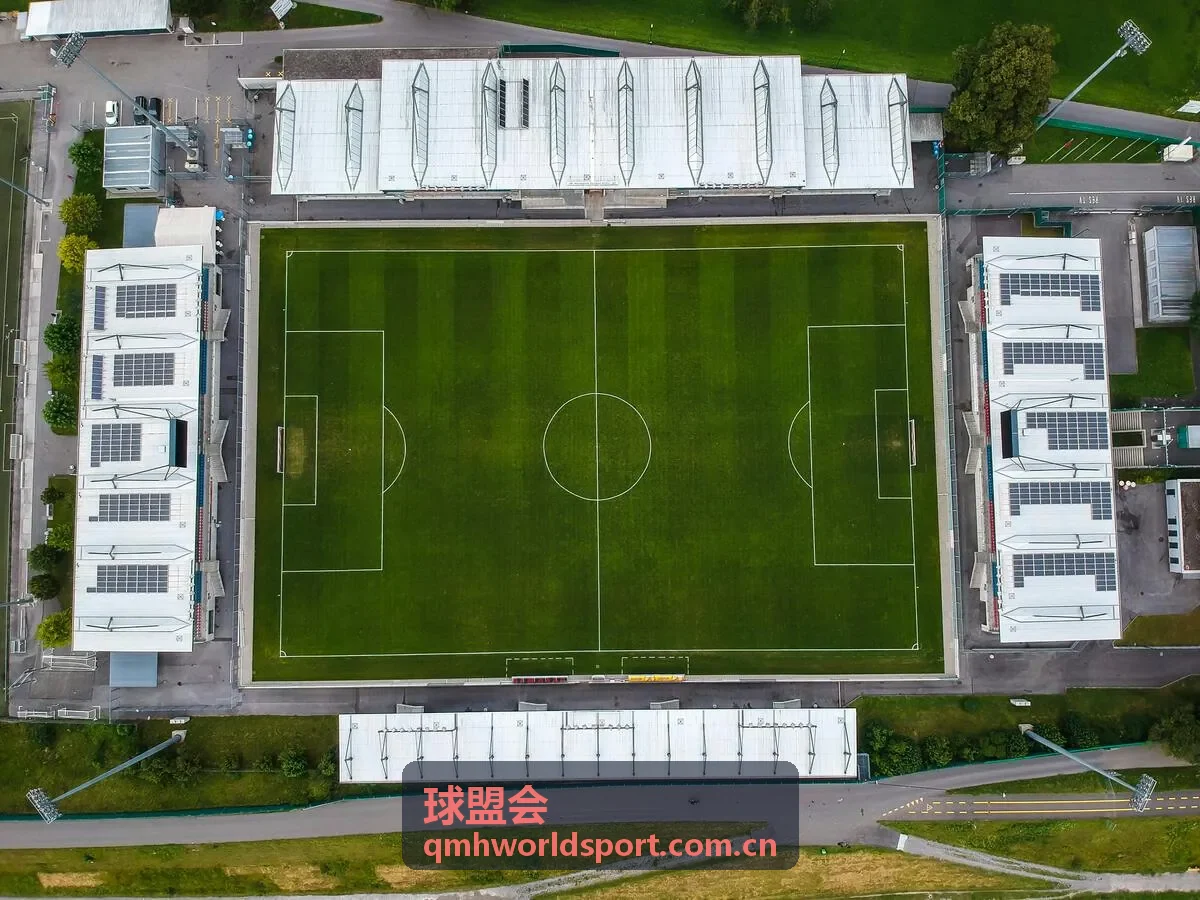 球盟会数据统计多维度分析图表展示